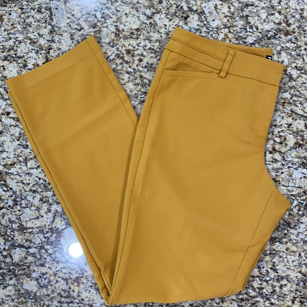 New York & Co. 12 tall, mustard yellow ☀️